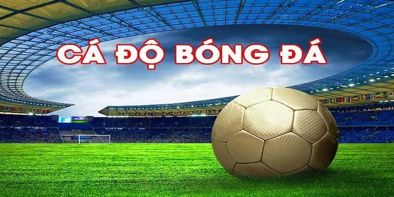 Kèo tài xỉu Bongvip